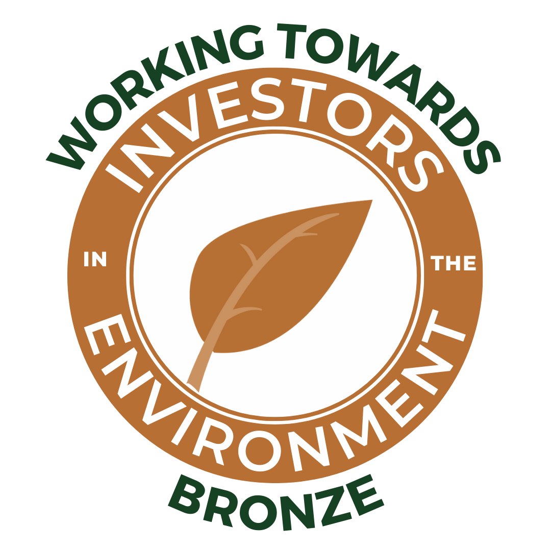 IIE logo to demonstrate working towards bronze.